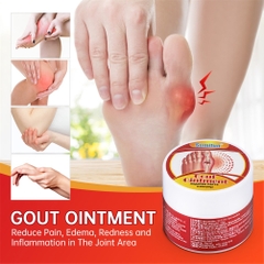 Kem Bôi Gout Sumifun Gout Ointment Chăm Sóc Xương Khớp, Giảm Sưng Đau Gout và Xẹp Tophi Thảo Dược - HTHshop02