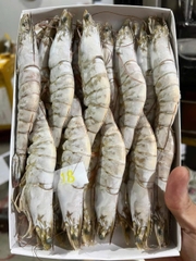 Tôm sú