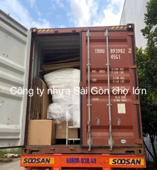 Ghế hồ bơi cao cấp nhập khẩu