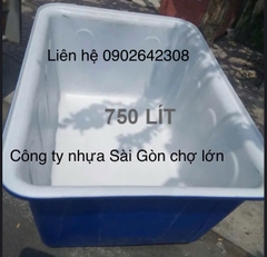 Thùng chữ Nhật nuôi cá 750 lít 151*110*72 cm (1 lớp và 2 lớp)