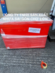 Thùng đá Thái Lan 800 lít không chân mũi neo