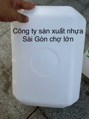Can vuông 20 lít 3 cá màu trắng loại 1 kg