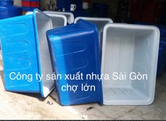 Thùng chữ Nhật nuôi cá 500 lít (132*95*66 cm) 1 lớp và 2 lớp