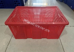 Sóng trái cây có nắp cao cấp