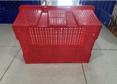 Sóng trái cây có nắp cao cấp