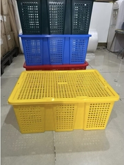 Sóng trái cây có nắp cao cấp