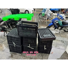 Rổ nhựa đựng xoài và trái cây có nắp (51*39*29 cm)🌸