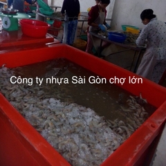 Thùng đá thái Lan 600 lít nhập khẩu (  hiệu Hoa sen)