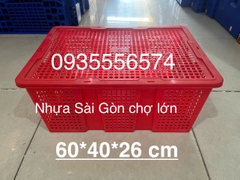 Sóng cà chua HS036-SH Long thành (60*40*26 cm)