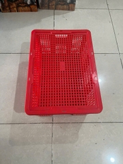 Sóng cà chua HS036-SH Long thành (60*40*26 cm)