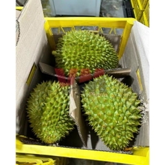 Sóng nhựa sầu riêng Văn Minh VM06-HL - KT: 440 x 370 x 210mm ± 10 mm🌸