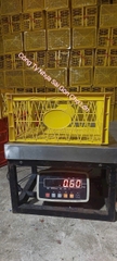 Sóng nhựa sầu riêng Văn Minh VM06-HL - KT: 440 x 370 x 210mm ± 10 mm🌸