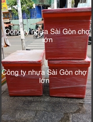 Thùng đá Thái Lan 450 lít mũi neo không chân nắp rời