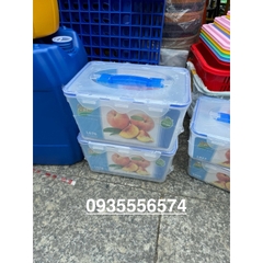 Hộp SINA 8 lít có quai Đại Đồng Tiến