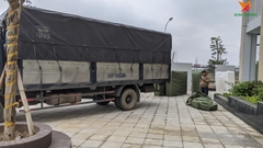 Nệm nhảy cao kích thước 2m x 1,6m x 0,3m