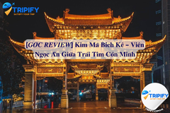 [𝑮𝑶́𝑪 𝑹𝑬𝑽𝑰𝑬𝑾] 𝐊𝐢𝐦 𝐌𝐚̃ 𝐁𝐢́𝐜𝐡 𝐊𝐞̂ – 𝐕𝐢𝐞̂𝐧 𝐍𝐠𝐨̣𝐜 𝐀̂̉𝐧 𝐆𝐢𝐮̛̃𝐚 𝐓𝐫𝐚́𝐢 𝐓𝐢𝐦 𝐂𝐨̂𝐧 𝐌𝐢𝐧𝐡