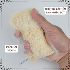 Miếng Rửa Chén Xơ Mướp