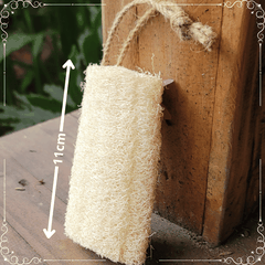 Miếng Rửa Chén Xơ Mướp