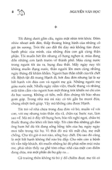 Những cơn mưa thảng thốt