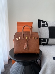 Birkin 25cm Matte Crocodile Leather Handbag