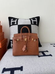 Birkin 25cm Matte Crocodile Leather Handbag