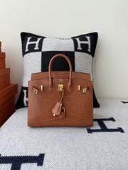 Birkin 25cm Matte Crocodile Leather Handbag
