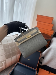 Birkin 20cm Matte Porosus Crocodile - Gris Neve Gold Hardware