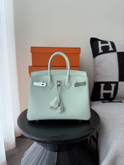 Birkin 25cm Platinum Swift Leather Green Mint Handbag