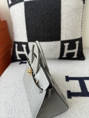 Birkin 20cm Matte Porosus Crocodile - Gris Neve Gold Hardware