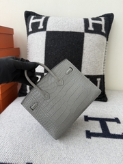 Birkin 20cm Matte Porosus Crocodile - Gris Neve Gold Hardware