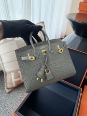 Birkin 20cm Matte Porosus Crocodile - Gris Neve Gold Hardware