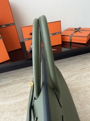 Birkin 30cm Togo Leather Bag V6 Canopy Color Jungle Green Gold Hardware