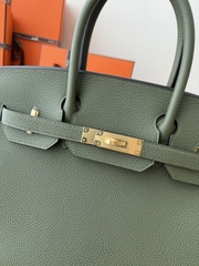 Birkin 30cm Togo Leather Bag V6 Canopy Color Jungle Green Gold Hardware