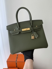 Birkin 30cm Togo Leather Bag V6 Canopy Color Jungle Green Gold Hardware