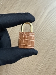 Birkin 25 - Barenia Gold - Matted Prosus Crocodiles - GHW