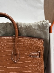 Birkin 25 - Barenia Gold - Matted Prosus Crocodiles - GHW