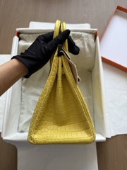 Birkin 25 - Mimosa - Matted Prosus Crocodiles - GHW