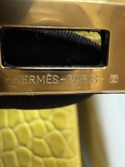 Birkin 25 - Mimosa - Matted Prosus Crocodiles - GHW