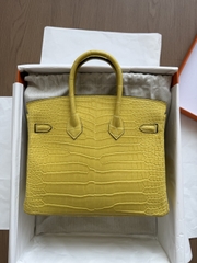 Birkin 25 - Mimosa - Matted Prosus Crocodiles - GHW