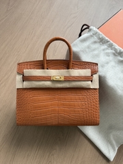 Birkin 20 - Gold - Matted Alligator - GHW