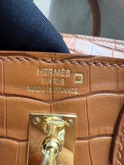 Birkin 20 - Gold - Matted Alligator - GHW