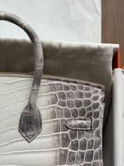 Birkin 25 - Himalaya - Nioticus Crocodile - PHW