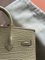Birkin 20 - Vanilla - Matted Alligatỏ - PHW
