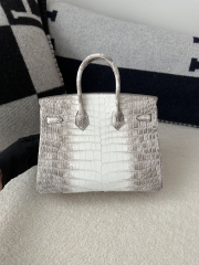 Birkin 25cm, Matte Himalaya Crocodile, Imported HCP Leather, 01 Himalaya with Silver Hardware, 