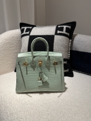 Birkin 25cm, Matte Porosus Crocodile, Imported HCP Leather, 6U Vert Deau Mint Green with Gold Hardware.