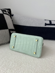 Birkin 25cm, Matte Porosus Crocodile, Imported HCP Leather, 6U Vert Deau Mint Green with Gold Hardware.