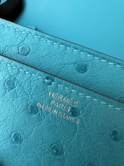 Constance To Go Crossbody Wallet, Imported Klein Karoo Ostrich Skin, CK79 Aqua with Silver Hardware.