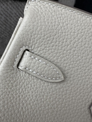 Birkin 25cm in Imported Togo Calfskin, CC10 Carie Milkshake White with Gold Hardware