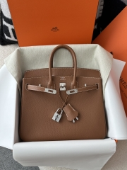 Birkin 25cm in Imported Chevre Goatskin, CK37 Gold with Silver Hardware