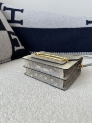 Roulis 18cm in Imported Lizard Leather, 1B Ombre with Gold Hardware